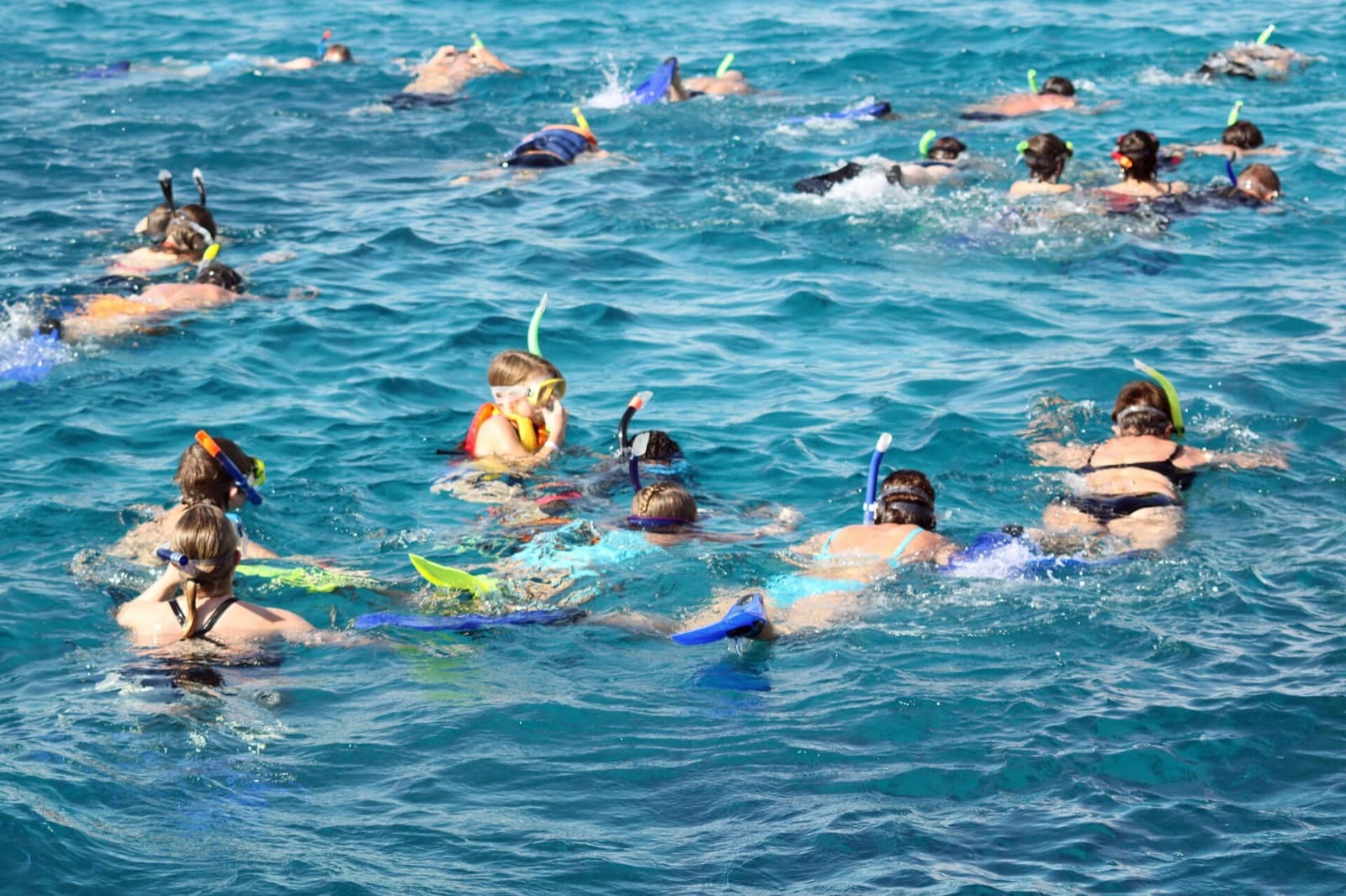 Full Day Snorkeling Trip