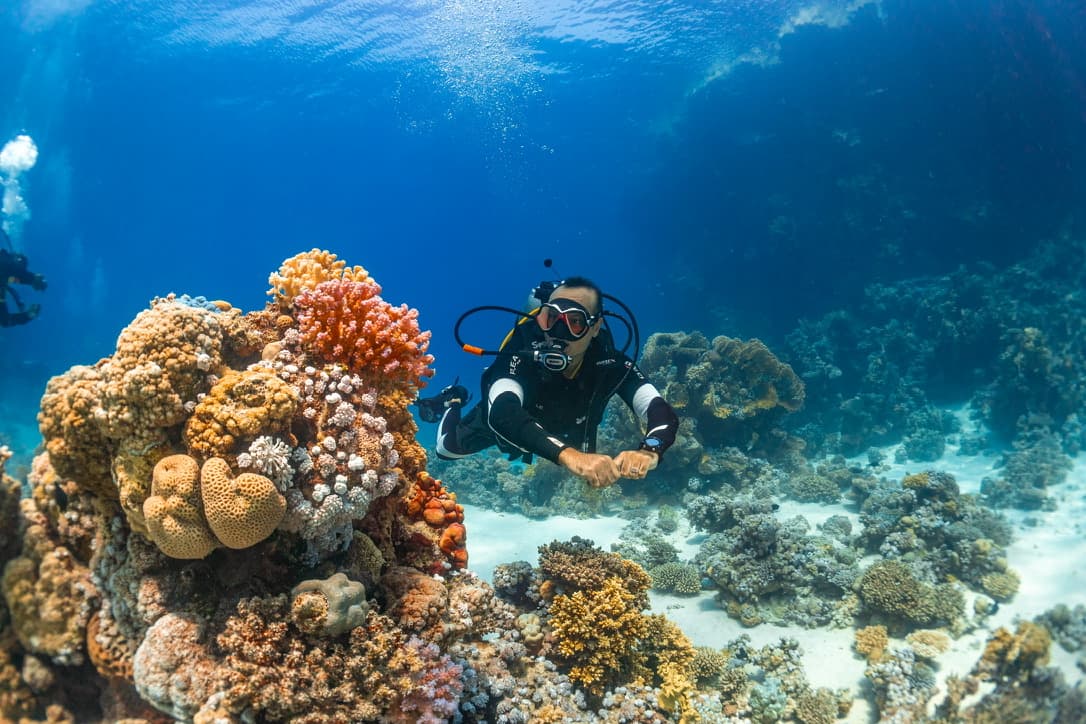 Budget Scuba Diving Courses for Backpackers in Hurghada