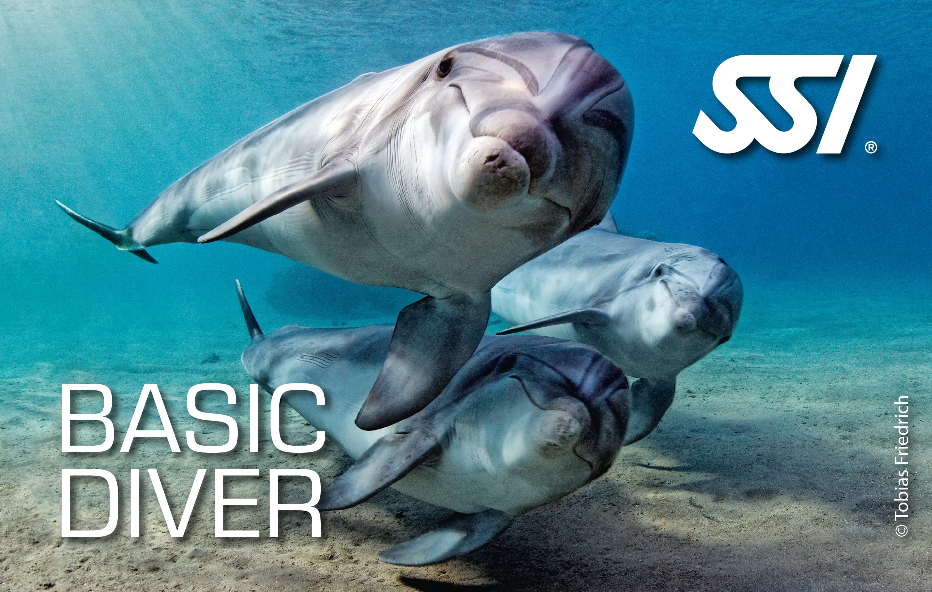 SSI Basic Diver — Try Scuba Diving