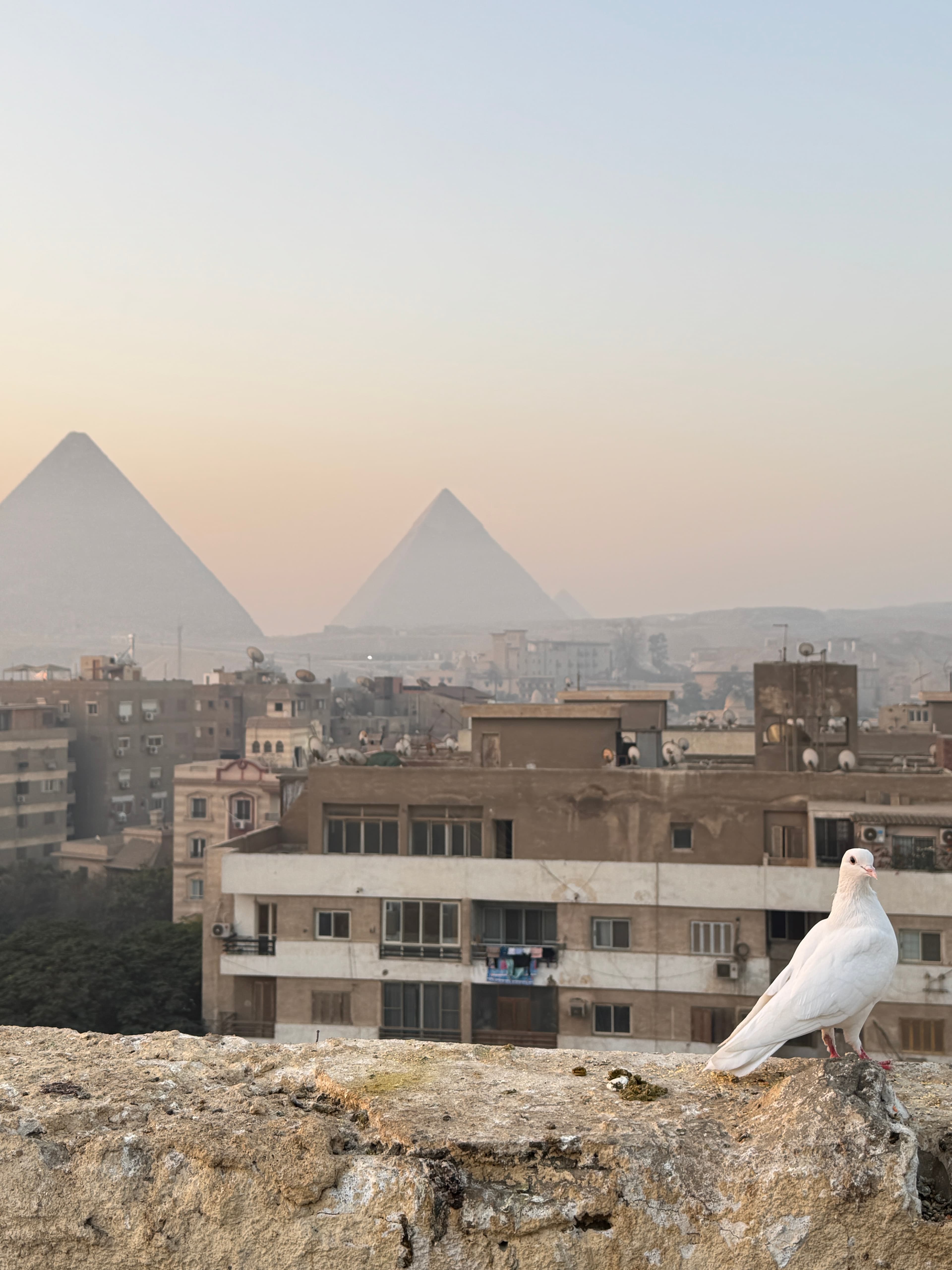 Cairo and Giza Day Trip by Bus