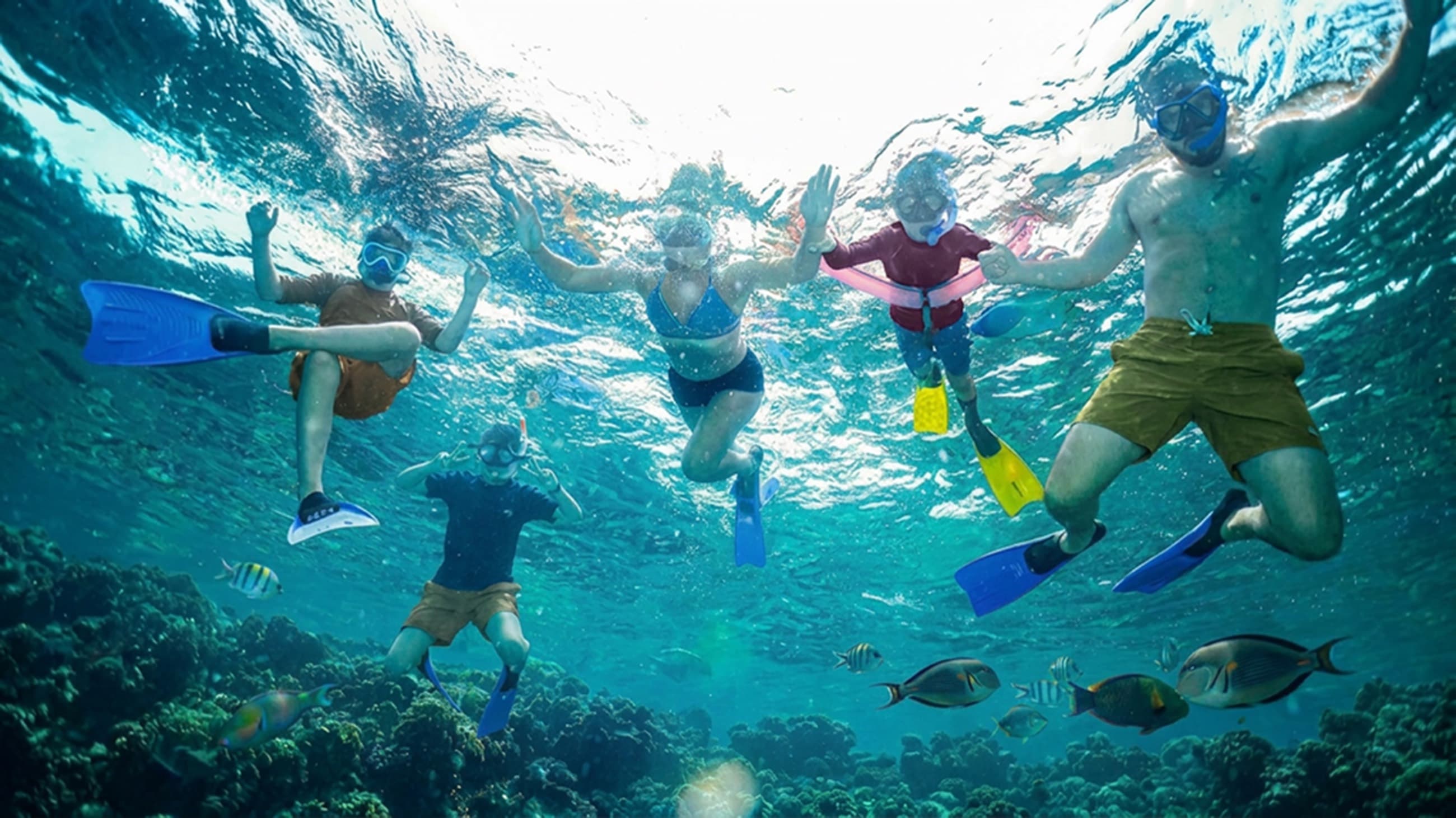 Family snorkeling together over a coral reef in the clear Red Sea