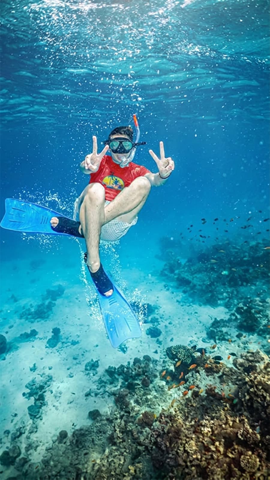 Bayada Daily Snorkeling Boat Trip from Jeddah