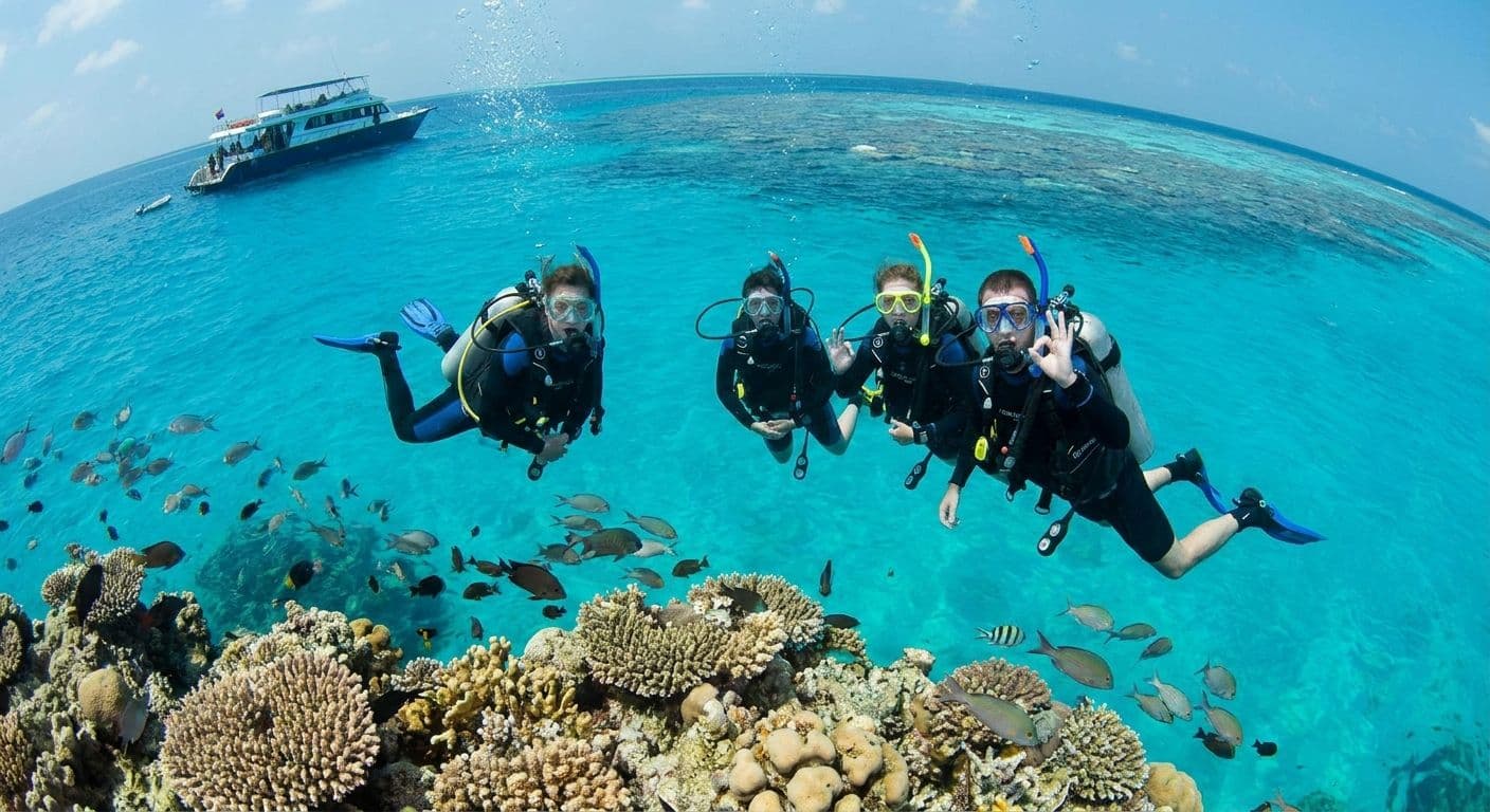 Panorama Reef Diving Trip Hurghada 2026: Diver's Guide