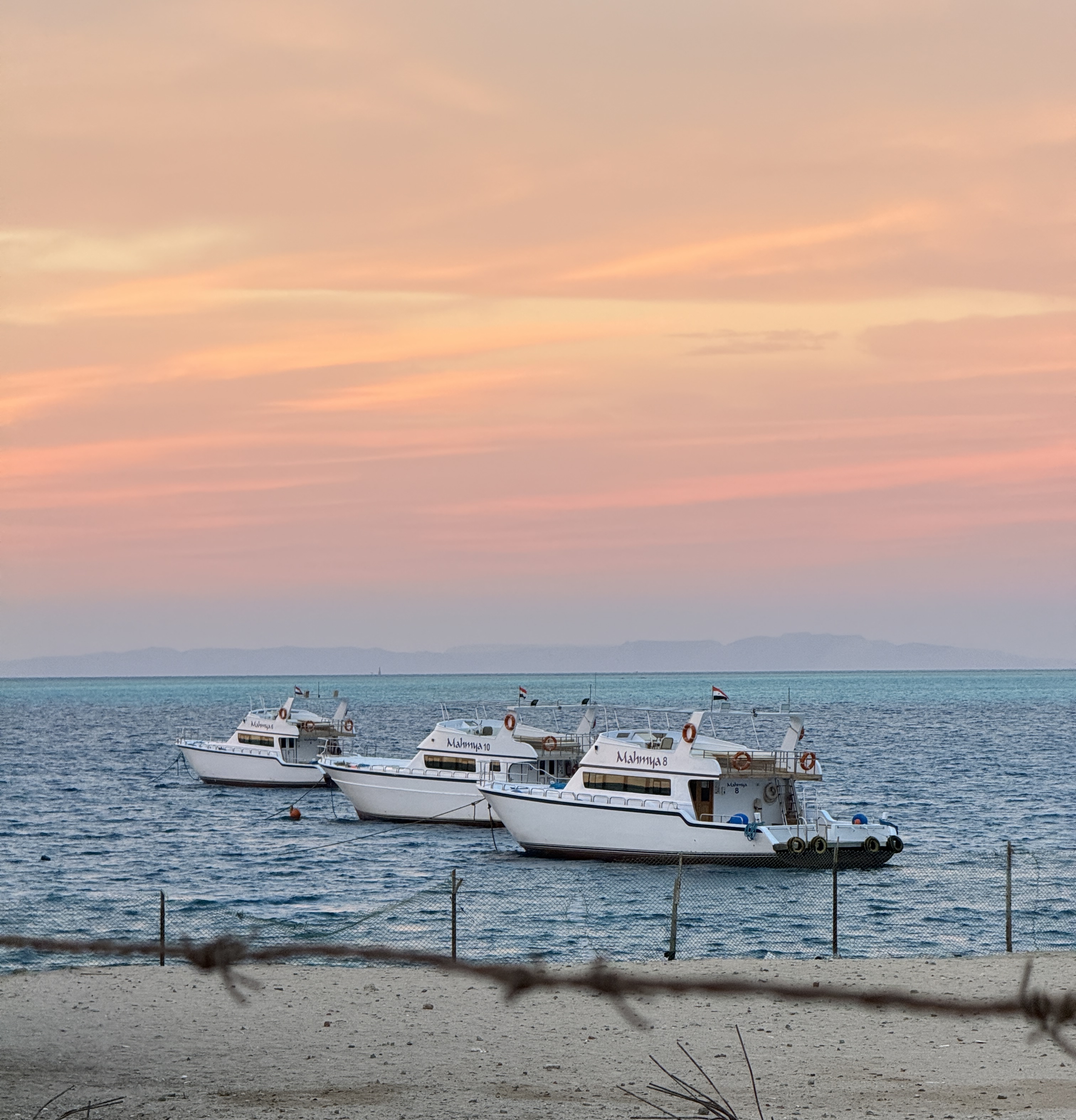 Mahmya excursion boats moored on the Red Sea at sunset